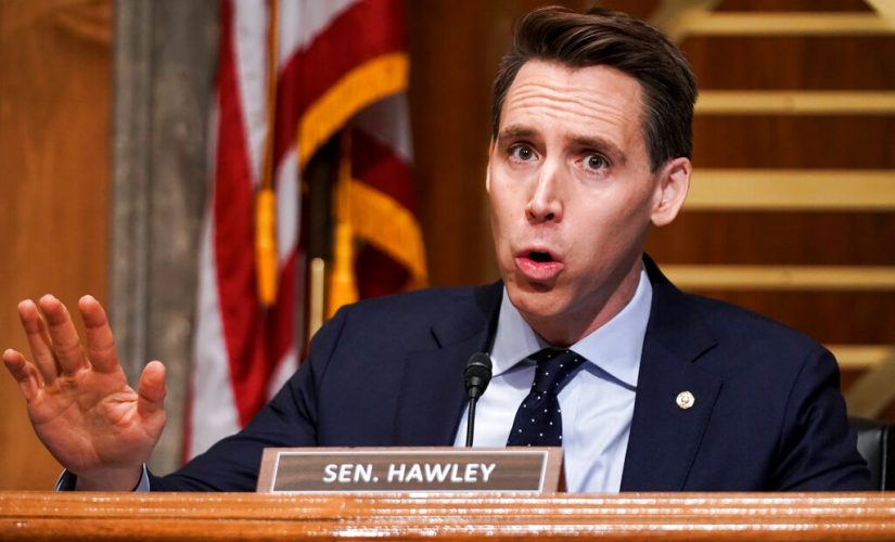 Hawley defends election objection, claims Dems trying to ‘grab power’ with ‘lie about our motivations’