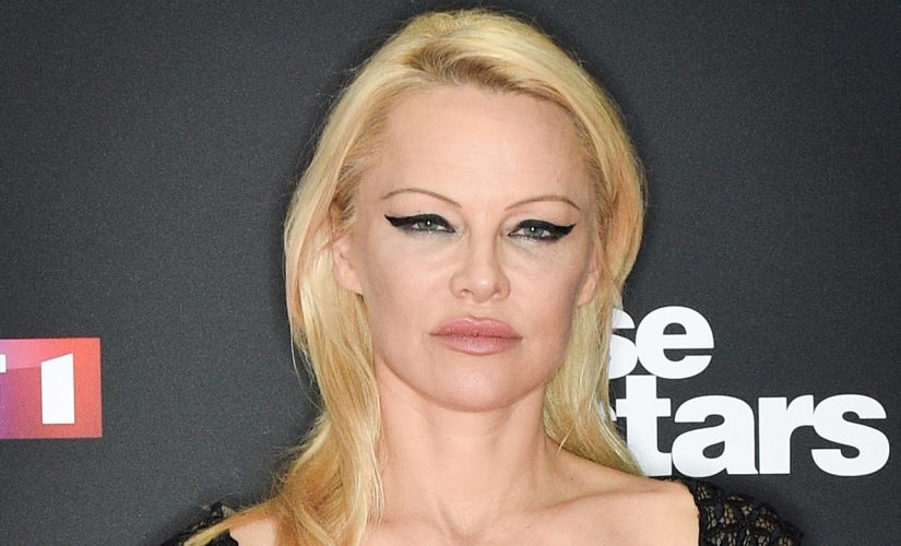 Pamela Anderson’s marriage to Dan Hayhurst began as an ‘affair,’ his ex claims