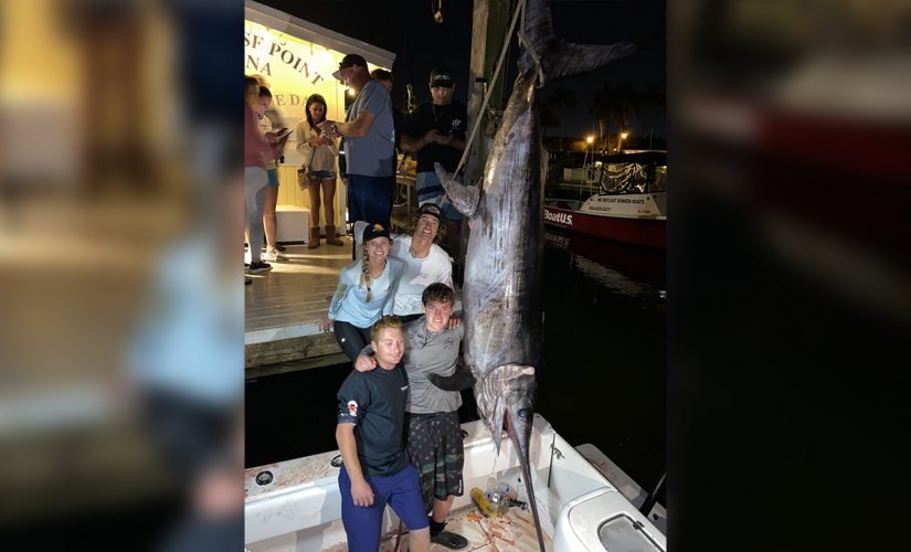 Florida anglers catch record-breaking swordfish that weighs 767 pounds