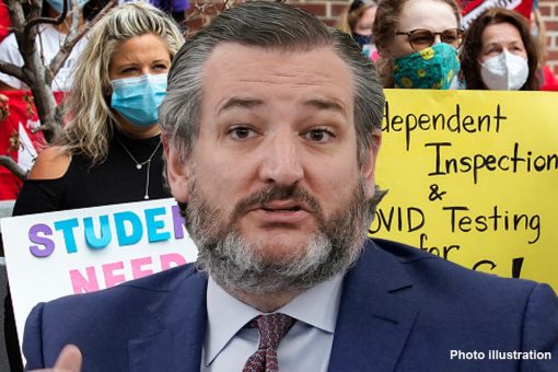 Sen. Ted Cruz: COVID, teachers union school madness is hurting our kids — that’s why choice is vital