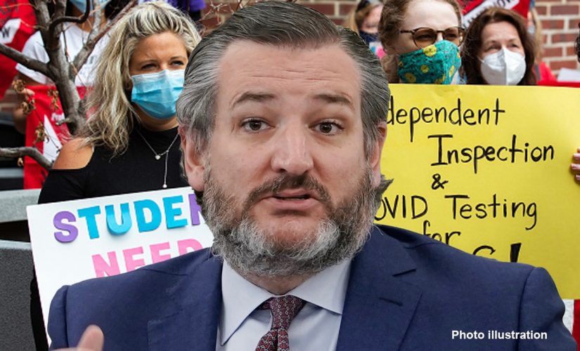 Sen. Ted Cruz: COVID, teachers union school madness is hurting our kids — that’s why choice is vital