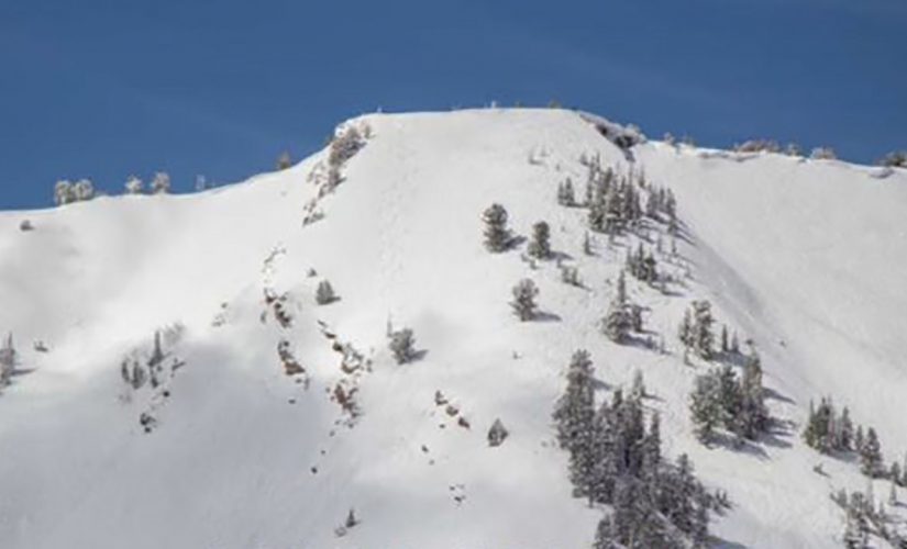 Utah skier buried after triggering avalanche in backcountry, officials say, as rescue efforts continue