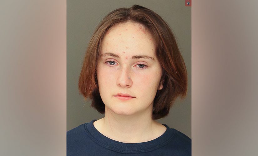 Pennsylvania teen charged with killing older sister while parents slept, DA says