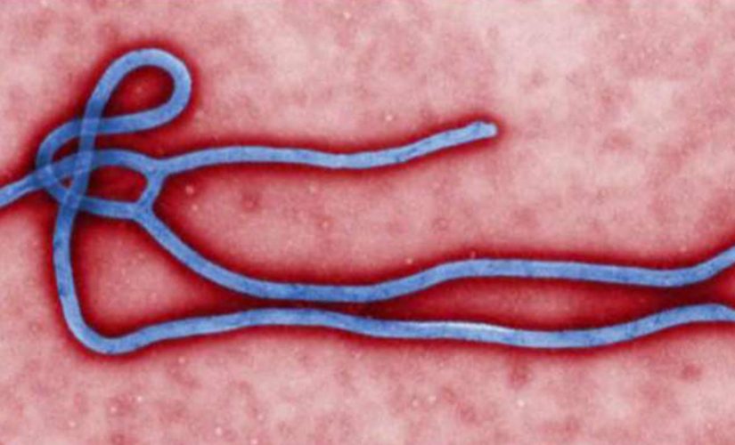 Congo officials confirm 2nd death from Ebola in the east