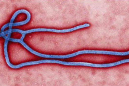 Congo officials confirm 2nd death from Ebola in the east