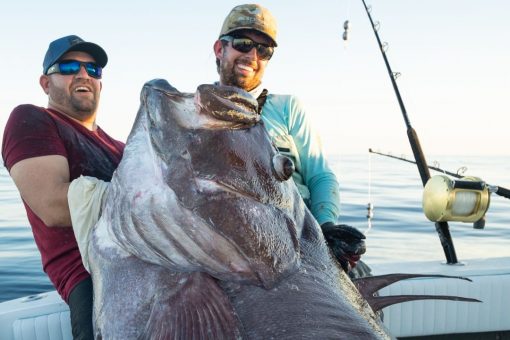 Florida fishermen catch a Warsaw Grouper that was bigger than a man: ‘It was a monster’