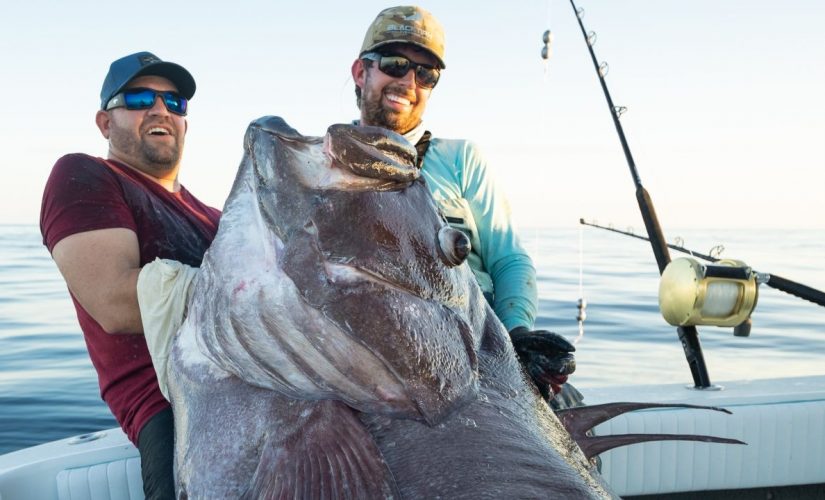 Florida fishermen catch a Warsaw Grouper that was bigger than a man: ‘It was a monster’