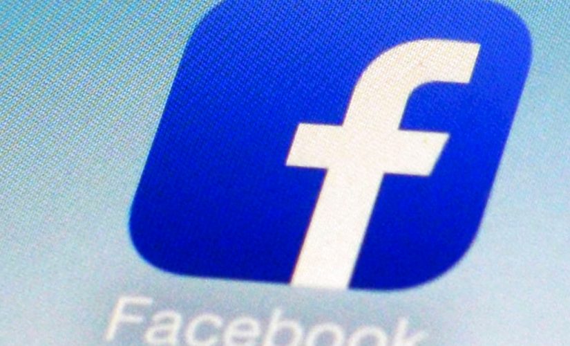 Facebook apologizes for ‘mistake’ in threatening to ban 81-year-old woolen pig knitter for hate speech