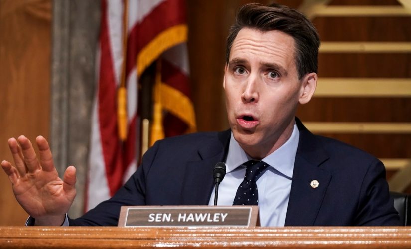 Hawley scores raucous applause when he brings up objection to Electoral College certification