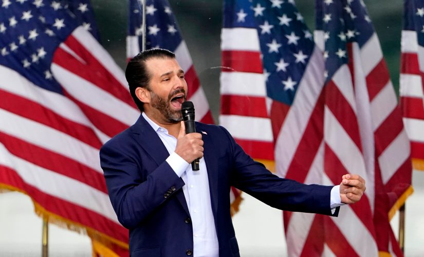 Donald Trump Jr. slams ‘blindly’ supporting GOP incumbents, says ‘there’s plenty’ of GOP senators to primary