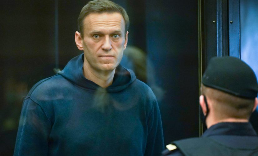 Putin critic Navalny faces court hearing