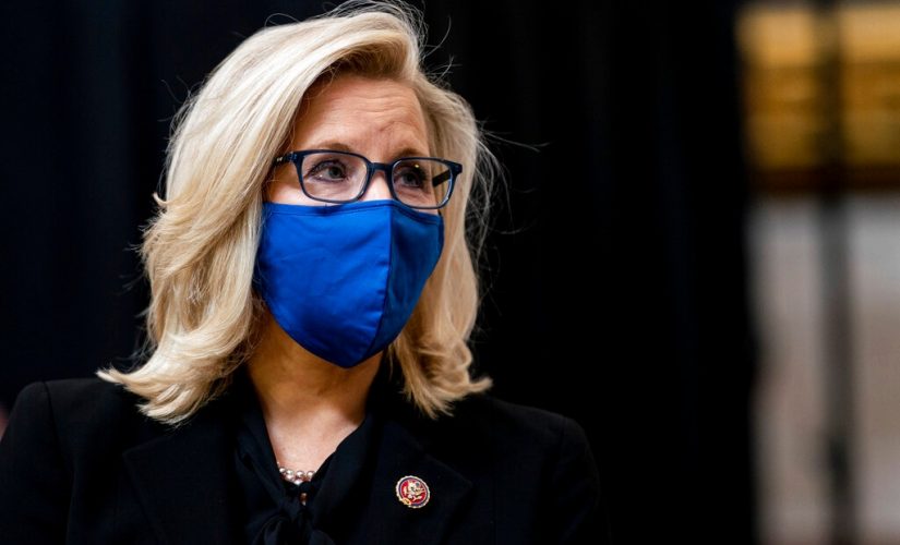 Wyoming State GOP Party votes to formally censure Liz Cheney for impeachment vote