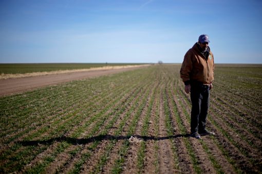 Biden $1.9T coronavirus stimulus package includes $1B for racial justice provisions for farmers