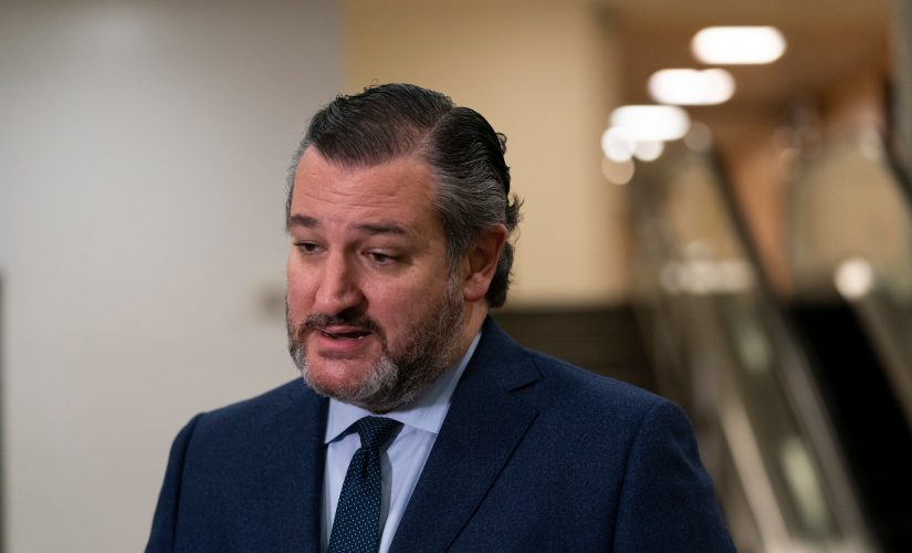 Ted Cruz calls for congressional probe of Cuomo nursing home scandal