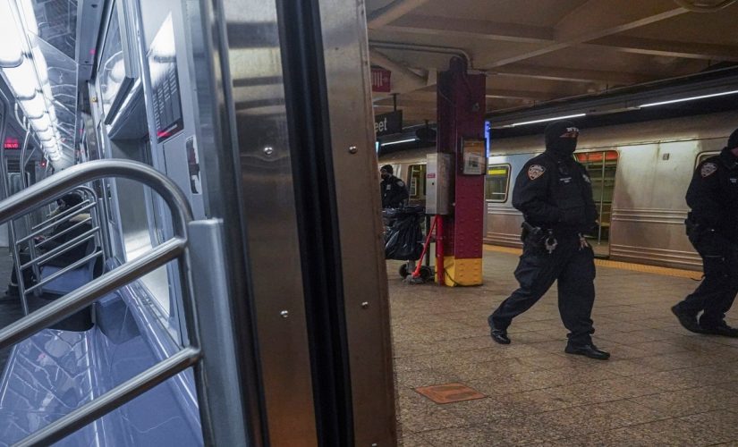 NYC transit heads want triple the number of extra cops in subways after A-train rampage