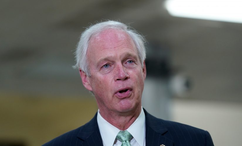 Sen. Johnson previews Capitol riot hearing: Attack ‘was not foreseeable’