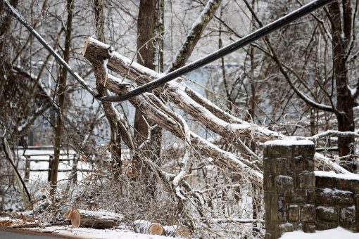 Texas utility customer files $1B lawsuit against Griddy after electric bill tops $9,000