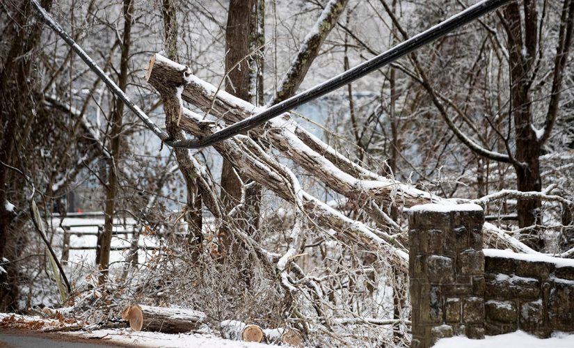 Texas utility customer files $1B lawsuit against Griddy after electric bill tops $9,000