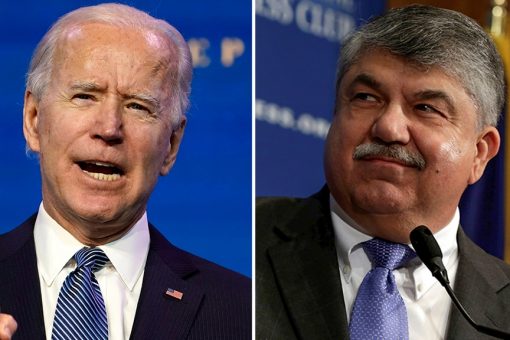 AFL-CIO president’s reaction to Keystone XL shutdown shows divide between union leadership, members: experts