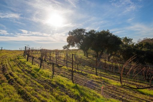 California town giving overnight visitors $100 to spend during trip