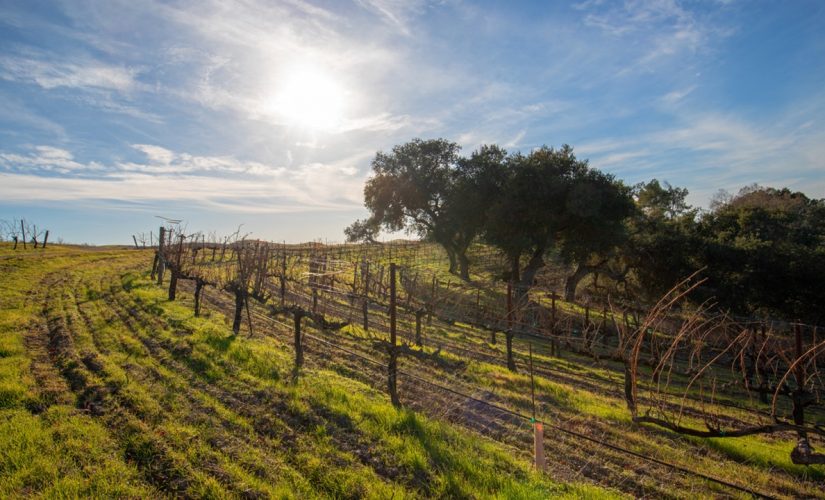 California town giving overnight visitors $100 to spend during trip