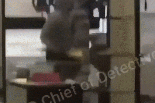 Suspect in brazen NYC Chanel robbery caught on video is arrested in Florida