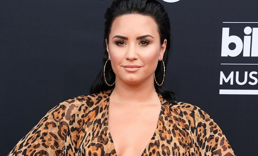 Demi Lovato shares post claiming gender reveals contribute to transphobia, draws mixed reactions