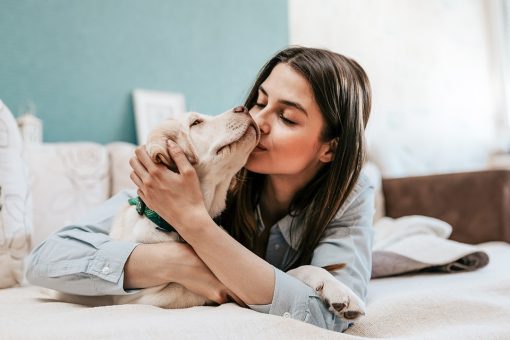 7 in 10 pet owners say they wouldn’t have ‘survived’ 2020 without their animal companion