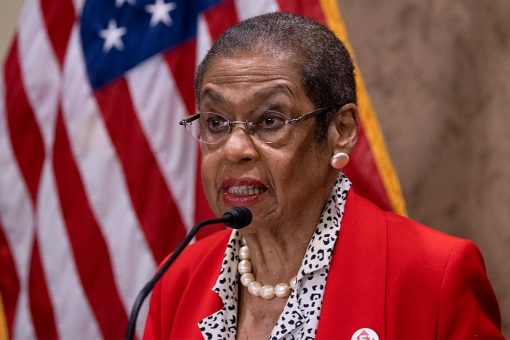 Dem congresswoman dismisses call for permanent Capitol fencing as ‘security theater’