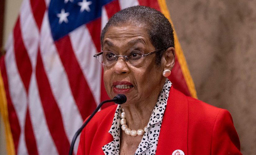 Dem congresswoman dismisses call for permanent Capitol fencing as ‘security theater’