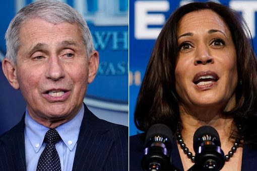 Fauci defends Harris ‘starting from scratch’ claim, now knocks Trump vaccine rollout