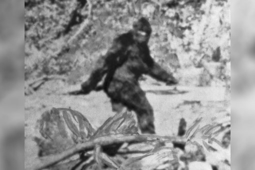 Bigfoot hunters beg for creature to be left alone after Oregon suggests Bigfoot hunt