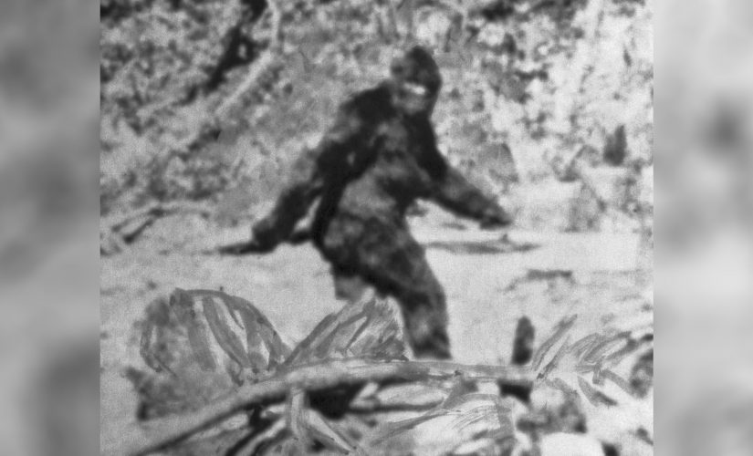 Bigfoot hunters beg for creature to be left alone after Oregon suggests Bigfoot hunt