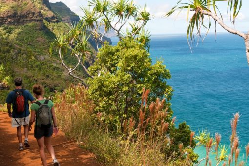 Hikers in Hawaii could have to pay for their own rescue if they ignore signs