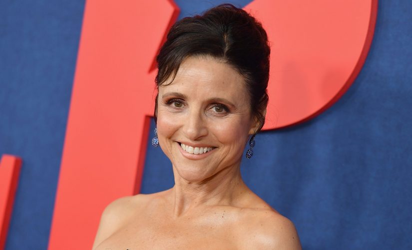 DNC camp, Julia Louis-Dreyfus’ writers clashed over Trump jokes at event: report