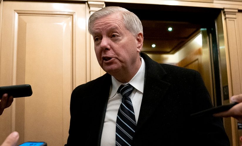 Graham: McConnell ‘put a load on Republicans’ back’ with anti-Trump speech