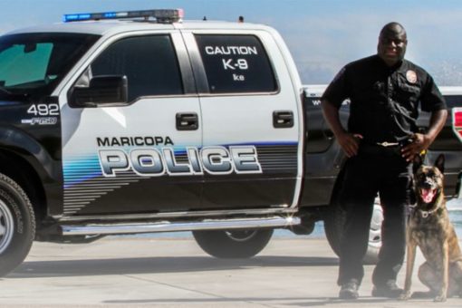 AZ police officer suspended after K9 partner dies in hot car