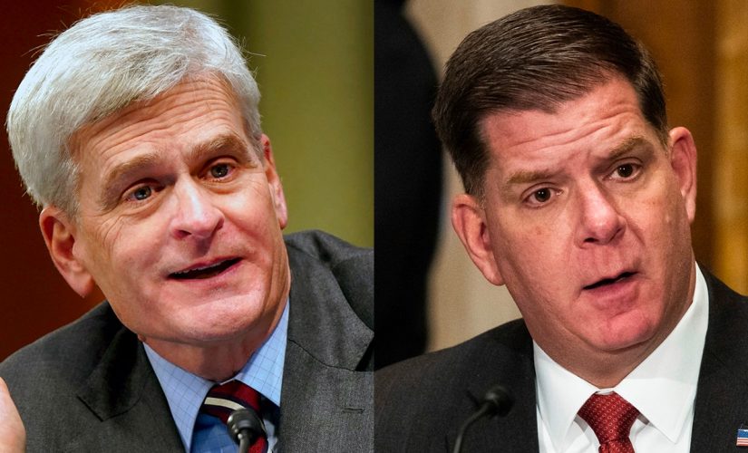 Cassidy grills labor secretary nominee Walsh on when unemployed Keystone pipeline workers will find jobs