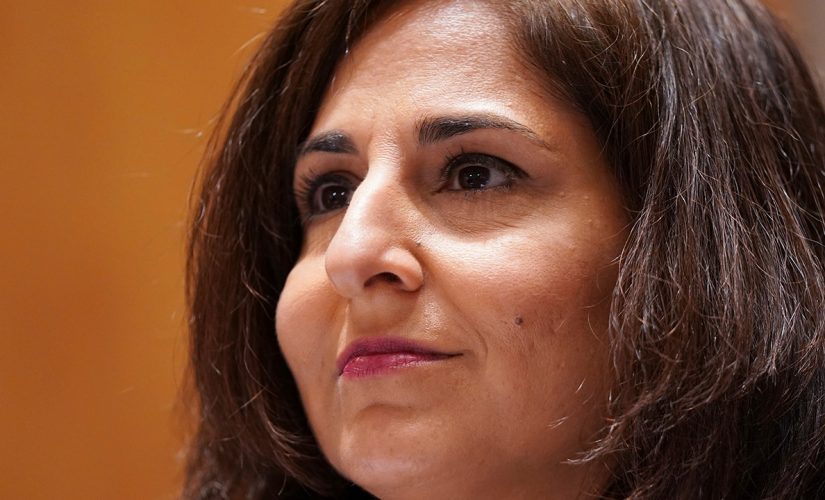 Democrats weaponize identity politics to shield vulnerable Biden nominees