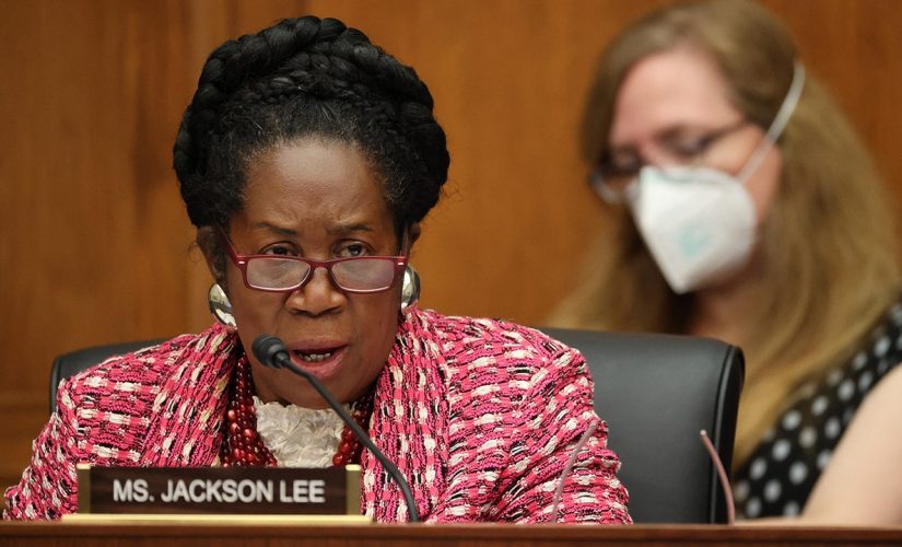 Gun control bill from Rep. Sheila Jackson Lee would create national firearm registry, require licensing
