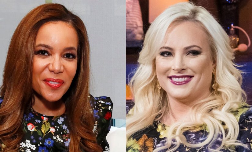 Meghan McCain: Media thinks only way to be a good Republican is becoming a Democrat