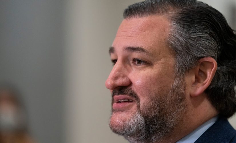 Cruz admits Cancun trip ‘obviously a mistake’ as he returns to find protestors outside his Texas home