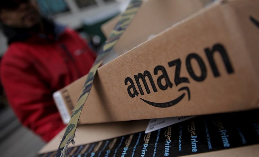 Amazon accused of ‘absurd and unacceptable’ censorship after book questioning transgender movement vanishes