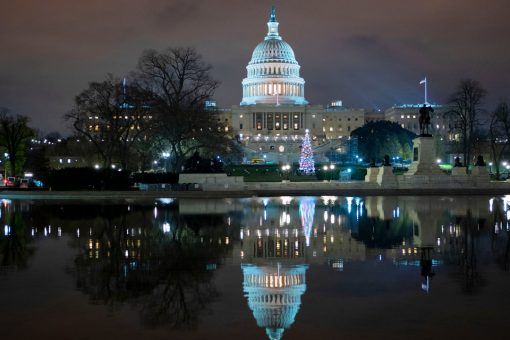 Black Lives Matter backs ‘Squad’ member’s push to expel over 100 Republicans from Congress