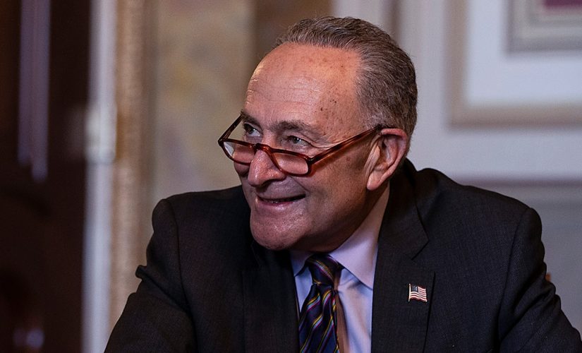 Schumer says Dems could censure Trump if impeachment trial ends in acquittal