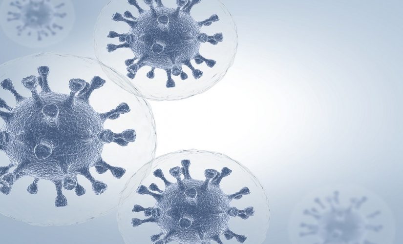 How many variants of the coronavirus are there?