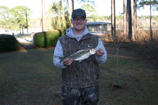 Georgia angler breaks 25-year-old fishing record for hickory shad