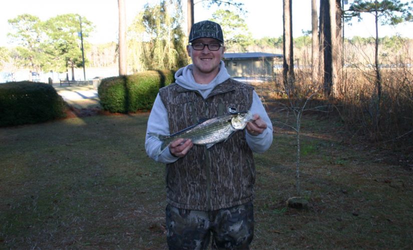 Georgia angler breaks 25-year-old fishing record for hickory shad