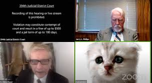 Texas lawyer’s kitten filter during hearing goes viral
