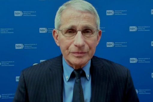 Developing potent antivirals targeting COVID-19 ‘direction of the future,’ Fauci says